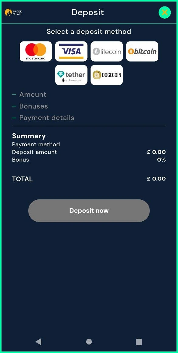 Fast and secure deposit methods at WagerPalace Casino